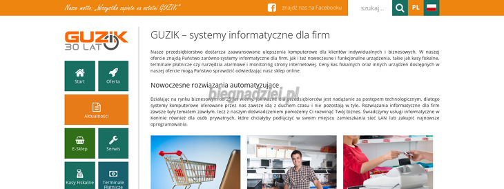 guzik-systemy-informatyczne