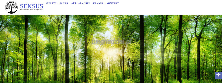 pracownia-psychologiczna-sensus-piotr-feja